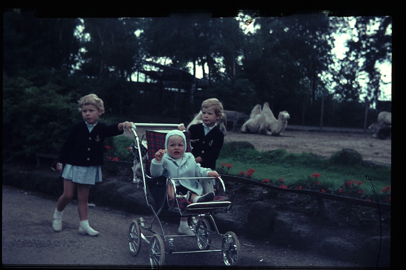 35.Blijdorp aug 1966 Brigitte,Marion,Peter.JPG